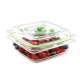 FoodSaver FFC003X recipiente per cibo Quadrato Scatola 0,7 L Verde, Trasparente 1 pz 2