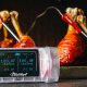 GrillEye Max termometro per cibo -40 - 300 °C Digitale 4
