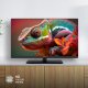Panasonic Smart TV LED HD serie S50 con Premium Fire TV 6
