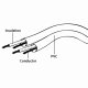 Gembird Cavo audio stereo 3.5 mm estensione, 1.5 m 5