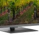 Thomson Q70 Series 65QG5C14 TV 165,1 cm (65