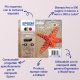 Epson 603 stella marina Multipack cartuccia d'inchiostro 4 colori (BK/C/M/Y) 4