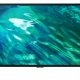 Samsung Series 5 QE32Q50AEU 81,3 cm (32