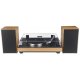 New Majestic TT 54 Giradischi con trasmissione a cinghia Nero, Legno 5