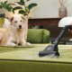 Hoover HE120PET 011 2,5 L A cilindro Secco 700 W Sacchetto per la polvere 7