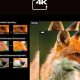 Hisense Laser TV PL2 TV retroproiettore Proiettore a raggio ultra corto 2700 ANSI lumen DLP UHD 4K (3840x2160) Nero Compatibilità 3D 16