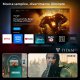 Philips 24PHS6000 HD LED 60cm 24