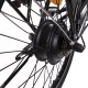 Smartway F3D3SCK bicicletta elettrica Nero Acciaio Taglia unica 50,8 cm (20