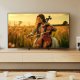 Sony K-55XR5 139,7 cm (55
