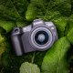 Canon EOS R8 MILC 24,2 MP CMOS 6000 x 4000 Pixel Nero 11