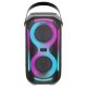 Trevi XFest Speaker Wireless 50W con Treppiede USB AUX-IN TWS XFM 225 W 5