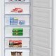 Beko RFSA210K40WN: Congelatore Verticale, Statico, 168 L, 54 cm 4
