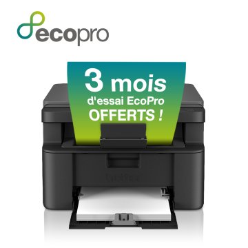 Brother DCP-L1640W stampante multifunzione Laser A4