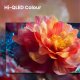 Hisense 40A59S 101,6 cm (40