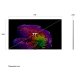 LG OLED evo AI 77'' Serie G6 OLED77G64LW, 4K, Hyper Radiant Color, Staffa a filo muro inclusa, G-Sync, SMART TV 2026 3