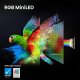 Hisense Smart TV RGB MiniLED 170Hz 65