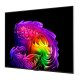 LG OLED evo AI 55'' Serie G6 OLED55G64LW, 4K, Hyper Radiant Color, Staffa a filo muro inclusa, G-Sync, SMART TV 2026 20