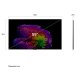 LG OLED evo AI 55'' Serie G6 OLED55G64LW, 4K, Hyper Radiant Color, Staffa a filo muro inclusa, G-Sync, SMART TV 2026 3