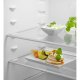 Electrolux Frigorifero Combinato Twintech Total No Frost Classe E ENA7TE75S 11