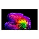 LG OLED evo AI 83'' Serie G6 OLED83G64LW, 4K, Hyper Radiant Color, Staffa a filo muro inclusa, G-Sync, SMART TV 2026 21