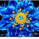 TCL P8L TV 98P8L – QD-Mini LED 98