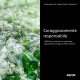 Xerox Contenitore toner di scarto (20000 pagine) 10