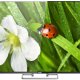 Haier LE50H6500 TV Hospitality 127 cm (50