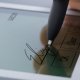 Wacom STU-430 & Sign Pro PDF tavoletta grafica Grigio 2540 lpi (linee per pollice) USB 4