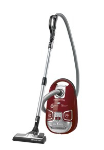 Rowenta RO5913 5 L Secco 2200 W Sacchetto per la polvere