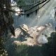 Electronic Arts Crysis 3 3