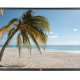 LG 55LS35A-5B visualizzatore di messaggi Pannello piatto per segnaletica digitale 139,7 cm (55