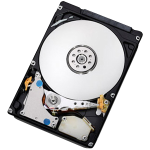 IBM 1TB disco rigido interno 7200 Giri/min 3.5" SATA