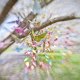 Lensbaby LBO35 obiettivo per fotocamera Nero 11