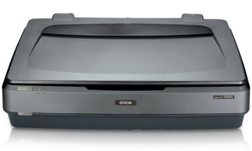 Epson Expression 11000XL Pro Scanner piano 2400 x 4800 DPI A3 Grigio