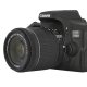 Canon EOS 750D + EF-S 18-135mm Kit fotocamere SLR 24,2 MP CMOS 6000 x 4000 Pixel Nero 4