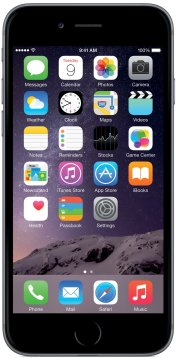 Apple iPhone 6 11,9 cm (4.7") SIM singola iOS 8 4G 1 GB 16 GB Grigio