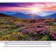 Toshiba 40L1534DG TV 101,6 cm (40