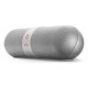 Beats by Dr. Dre Beats Pill 2.0 Argento 3