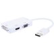 Techly Adattatore 3 in 1 DisplayPort 1.2 a HDMI/DVI/VGA (IADAP DP-COMBOF2) 2