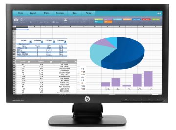 HP Monitor ProDisplay P202 da 20"