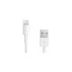 Techly Cavo da Apple Lightning a USB 1m Bianco (ICOC APP-8WHTY) 5