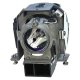 TEKLAMPS NP03LP Compatible lamp for NEC projectors lampada per proiettore 2