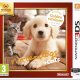 Nintendo Nintendogs + Cats: Golden Retriever Standard ITA Nintendo 3DS 2