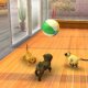 Nintendo Nintendogs + Cats: Bulldog Francese ITA Nintendo 3DS 3