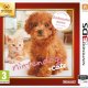 Nintendo Nintendogs + Cats: Barboncino nano & Nuovi amici ITA Nintendo 3DS 2