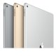 Apple iPad Pro 32 GB 32,8 cm (12.9