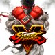 Capcom Street Fighter V Standard PC 6