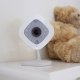 NETGEAR Arlo Q Cubo Interno 1920 x 1080 Pixel 8