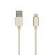 PNY 1.2m USB/Lightning 1,2 m Oro 2