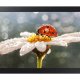 Samsung DB10E-POE Pannello piatto per segnaletica digitale 25,6 cm (10.1
